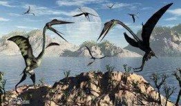 风神翼龙最新爆料,揭秘神秘生物的进化之谜